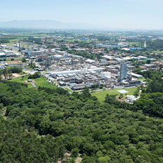 BASF trouxe a Mata Atlântica para dentro de suas fábricas com objetivo de recuperar a mata ciliar  