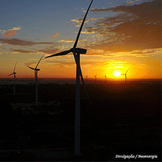 Neoenergia divulga os resultados financeiros e operacionais do segundo trimestre e do acumulado de 2024 