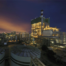 Bracell Bahia está com as inscrições abertas para vagas de emprego nas unidades de Camaçari e de Alagoinhas 