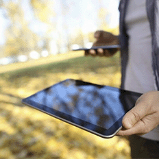 Aplicativo chega ao mercado para ser aliado do agronegócio brasileiro e tem confiabilidade garantida