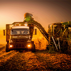 Um dos principais desafios do produtor de cana-de-açúcar do Brasil é eliminar o pisoteio das linhas na hora da colheita 