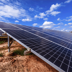 Raízen Power anuncia a aquisição de um novo cliente no seu serviço de geração distribuída compartilhada 