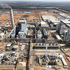 ANDRITZ inicia maior fábrica de eucalipto para Suzano, no Brasil