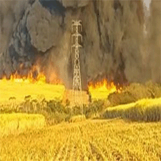 Sugestão de pauta: Queimadas ameaçam o fornecimento de energia nas cidades