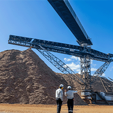 Valmet tem consolidado sua atuação no mercado de soluções completas para o preparo de madeira