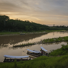 ISA CTEEP anuncia apoio ao desenvolvimento de um novo projeto de conservação ambiental: o REDD+