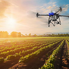 As bases que impulsionam o agronegócio brasileiro