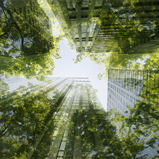 Schneider Electric compartilha detalhes sobre a sua participação na Climate Week NYC 2024