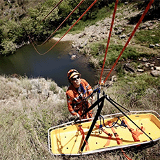 América Latina é um dos territórios mais ricos em diversidade biológica