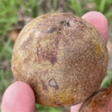 BNDES aprovou financiamento para a Acelen implantar um centro de inovação tecnológica 