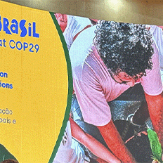 Brasil será 1º país do G20 a alcançar neutralidade em carbono 