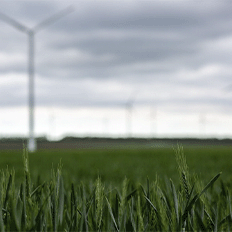 Conheça 6 iniciativas de empresas brasileiras que reduzem a emissão de poluentes