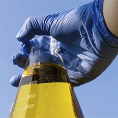 Gigantes do etanol querem hub de tecnologia