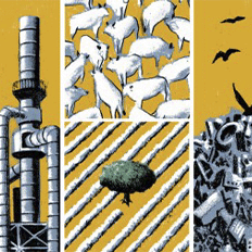 Emissão global recorde de gases de efeito estufa é destaque em Pesquisa FAPESP