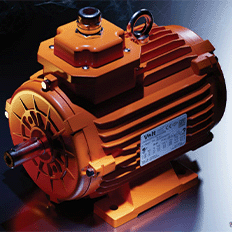 WEG anuncia a conclusão do processo de compra da fabricante de motores turca Volt Electric Motor 