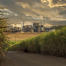 Solenis traz uma solução inédita para o setor de etanol que alia o aumento da produtividade com o menor uso de recursos 