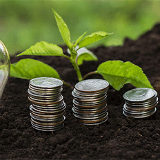 Brasil dá um passo estratégico para a sustentabilidade