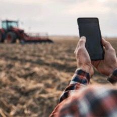 IA avança no agro e ganha cada vez mais espaço no setor