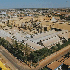 Galvani Fertilizantes investe R$ 22 milhões em um projeto florestal que tornará a empresa autossuficiente em energia a partir de biomassa 