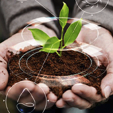 Como viabilizar os compromissos ESG em operações transnacionais