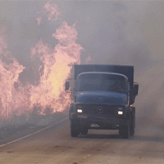 As queimadas provocam diversos prejuízos em áreas agrícolas 