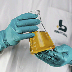 Avanço importante para a sustentabilidade e a segurança energética do Brasil