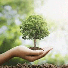 A indústria como vetor da sustentabilidade