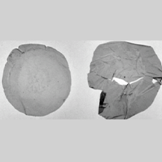 Estudo obteve resultados promissores na utilização de microrganismos para a degradação de plásticos e a produção de bioplásticos 