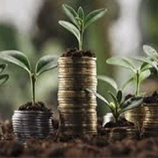 Petrobras estrutura um Fundo de Impacto para Projetos Socioambientais de Bioeconomia e Soluções Baseadas na Natureza 