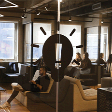 Seis dicas para priorizar sustentabilidade e impacto social