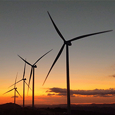 Mosaic antecipa o início do projeto comercial firmado com a Casa dos Ventos