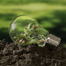 O crédito de carbono tem sido destacado como uma ferramenta crucial para mitigar as mudanças climáticas 