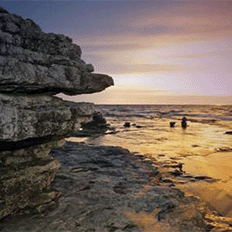 Rockwell Automation acaba de divulgar seu Relatório de Sustentabilidade