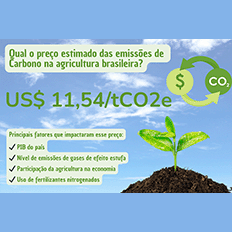O preço das emissões de carbono na agropecuária brasileira foi estimado em 11,54 dólares por tonelada de gás carbônico