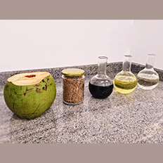 Biocombustível de coco impulsiona a transição energética no Brasil