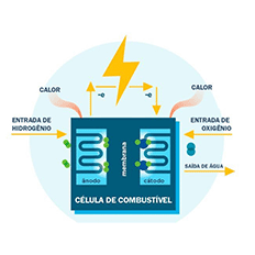 Pesquisadores da Unicamp desenvolvem tecnologia para células a combustível