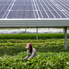 ABSOLAR reúne representantes do setor agropecuário, autoridades públicas, especialistas e agentes do mercado solar