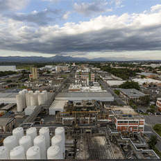 BASF reforça a importância da inovação e descarbonização para uma economia mais sustentável