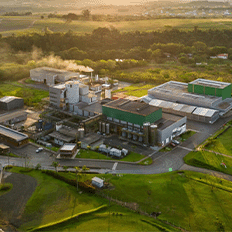 Maior empresa no setor de biotecnologia do etanol vê o mercado brasileiro como o mais promissor no mundo