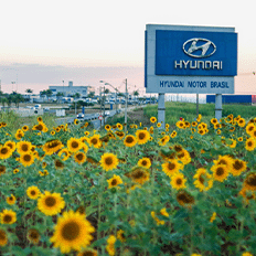 Hyundai Motor Brasil acaba de se filiar à Global Zero Waste