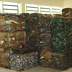 EDP já coletaram mais de 119 toneladas de resíduos  