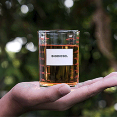 Substituição de combustíveis fósseis por alternativas renováveis e limpas 