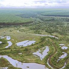 Eldorado Brasil Celulose divulga os principais avanços na agenda ESG da companhia  