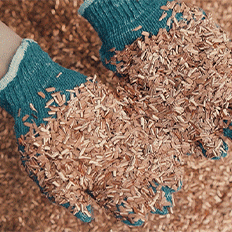 O papel fundamental da reciclagem na sustentabilidade industrial