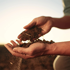 Abisolo reforça importância da conservação do solo para a sustentabilidade agrícola