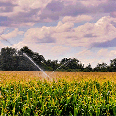 A agricultura enfrenta desafios como a escassez de recursos hídricos e o aumento dos custos com energia 