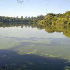 A história da poluição por metais na cidade de São Paulo