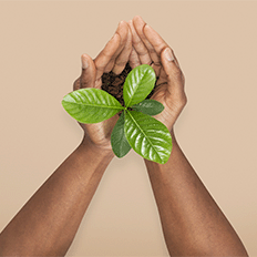 Empresa de painéis investe em comunicação para prevenir acidentes elétricos e é premiada