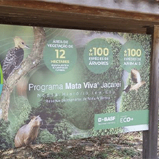 Programa Mata Viva da BASF contribui para a restauração de ecossistemas e conservação da biodiversidade da Mata Atlântica
