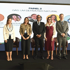 Naturgy fala sobre o papel do gás natural na transição energética e no desenvolvimento socioeconômico